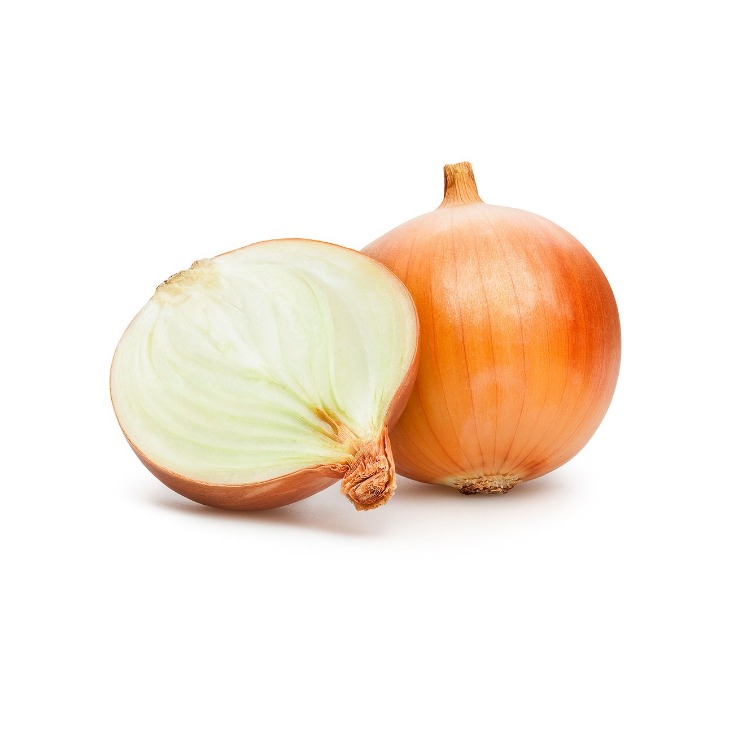 onion deep web wiki
