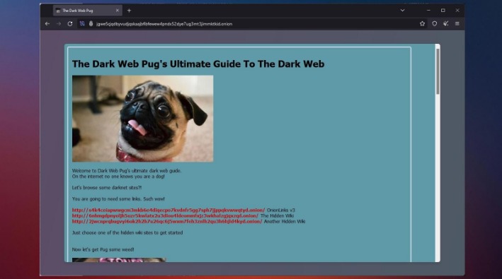 access dark web