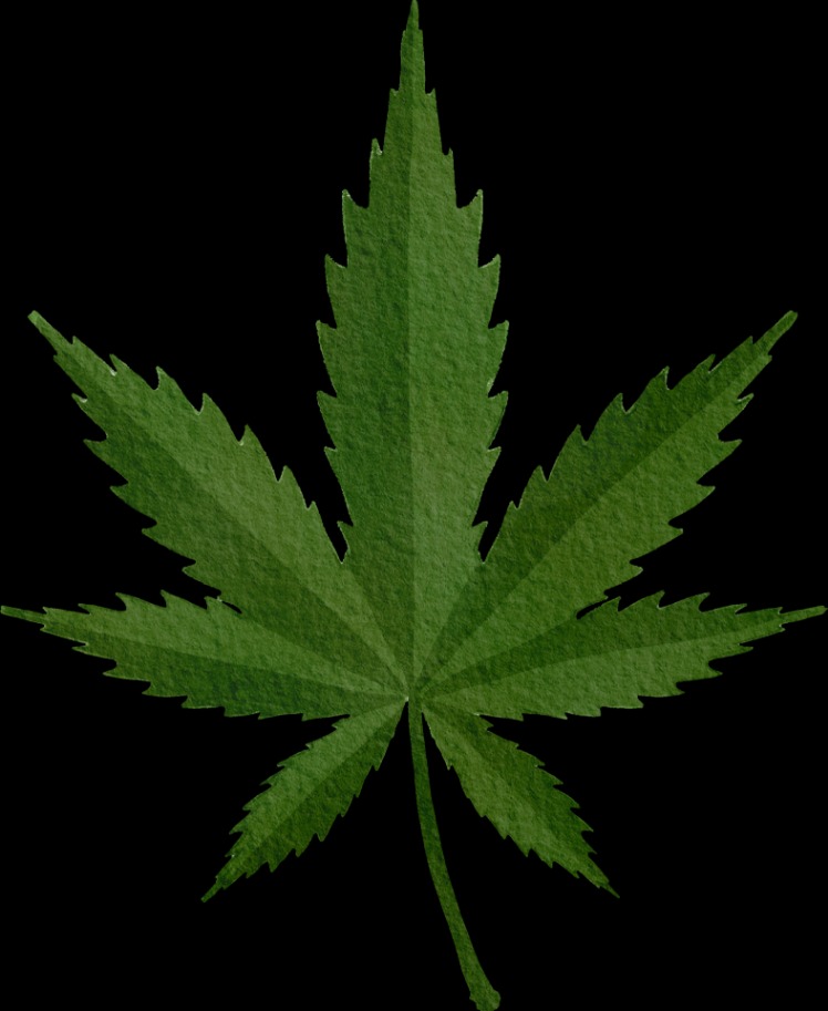 weed only darknet market