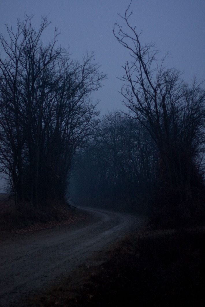 dark web links for android