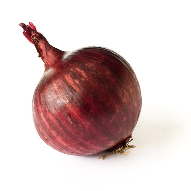 onion directory 2025