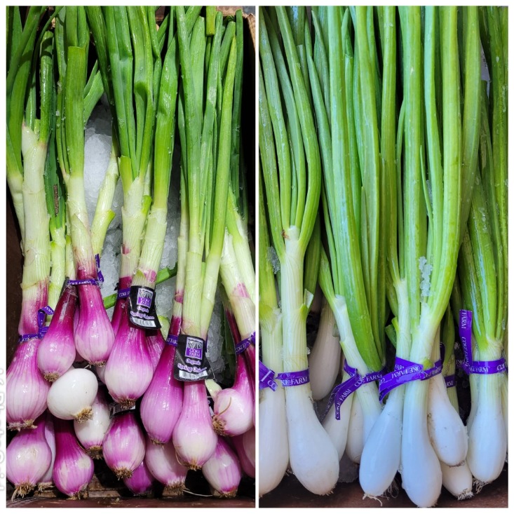 onion link