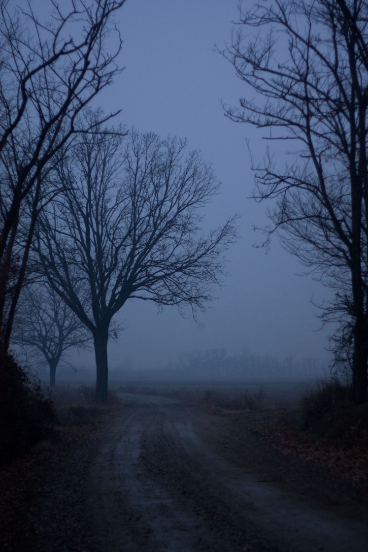 dark web markets reddit 2023