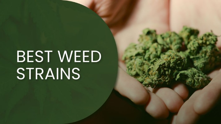 weed darknet market