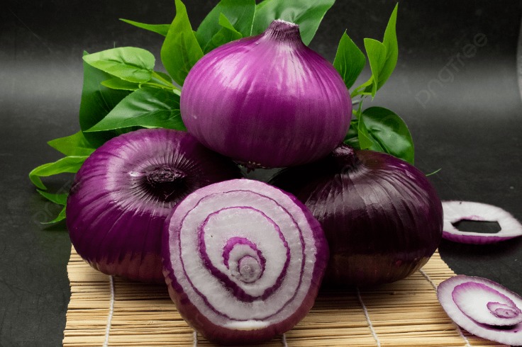 onion link search engine