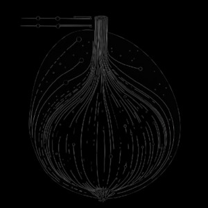 how to use onion sites