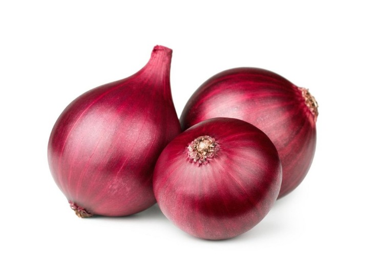 onion links 2025