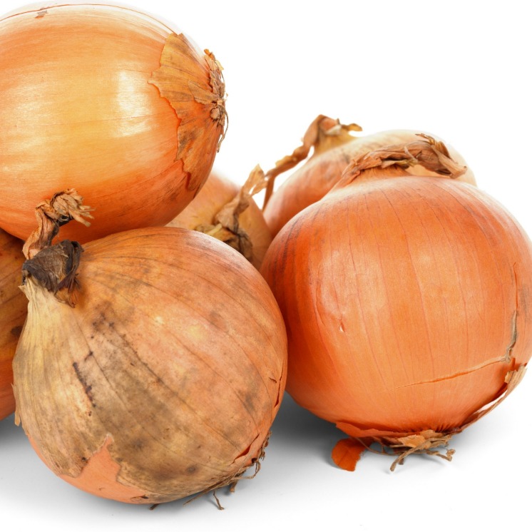 the onion directory