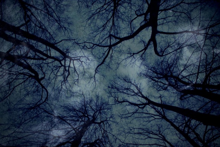 dark websites reddit