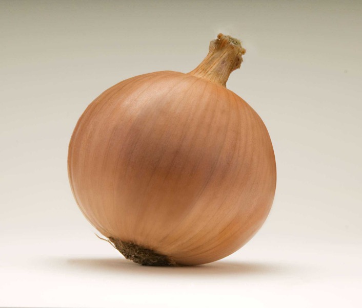 onion deep web search