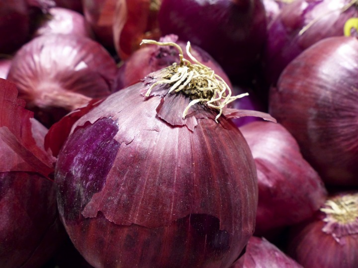 onion deep web search