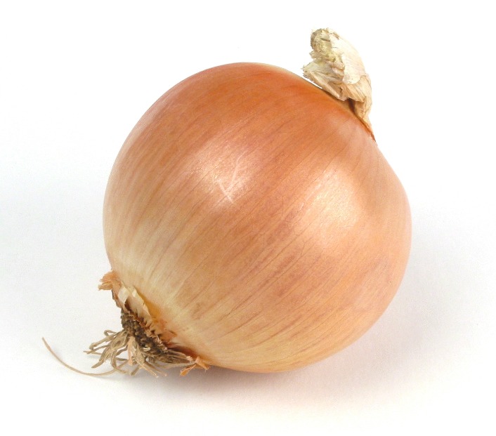 onion directory