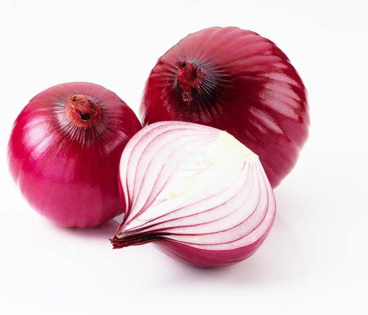 onion links sites