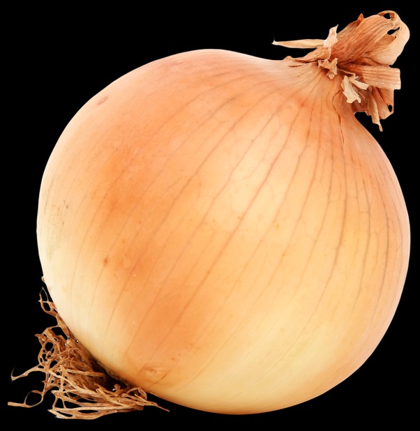 onion links sites