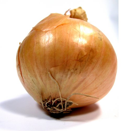 onion directory list