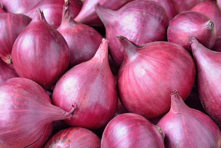 onion directory list