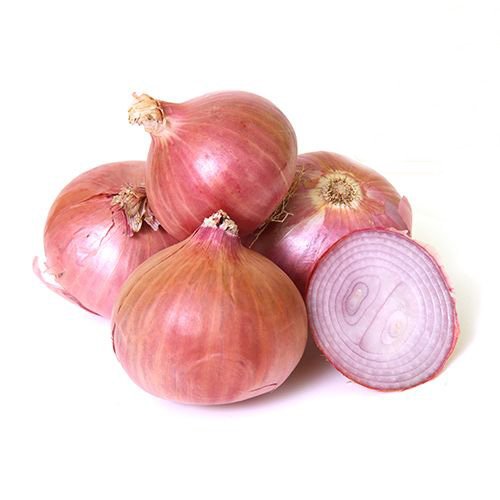 onion live links