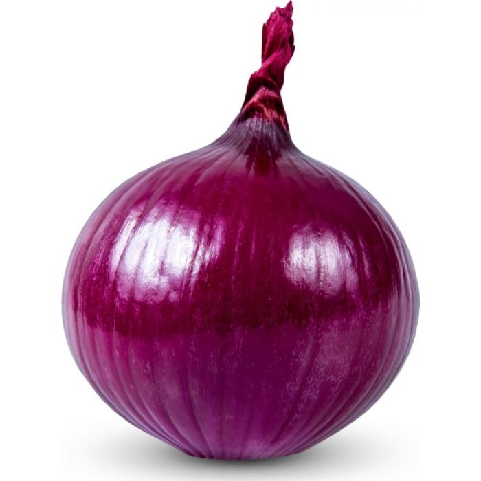 onion links 2025