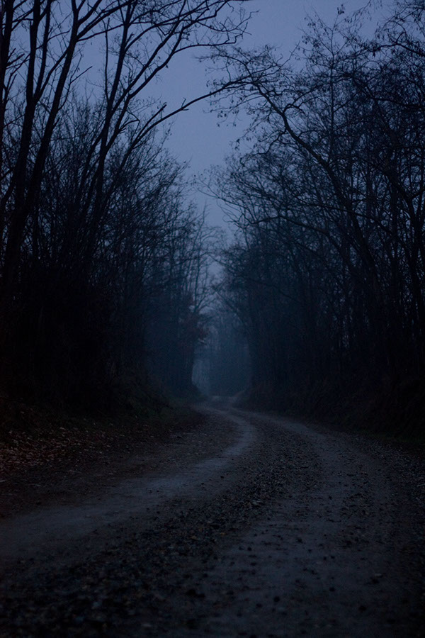 dark markets hungary