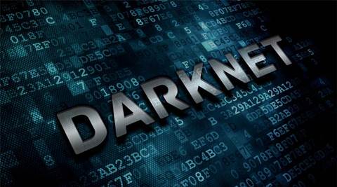 vice city market darknet