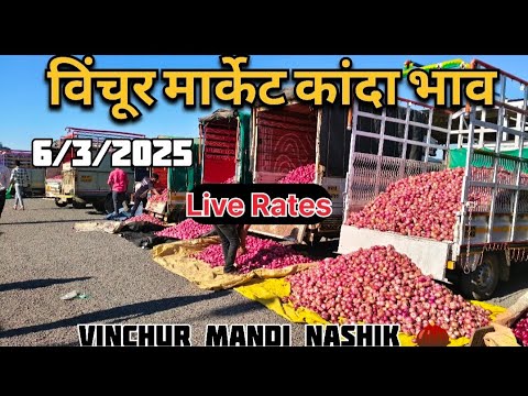 live onion market