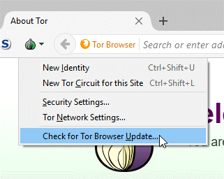 how to access dark web safely